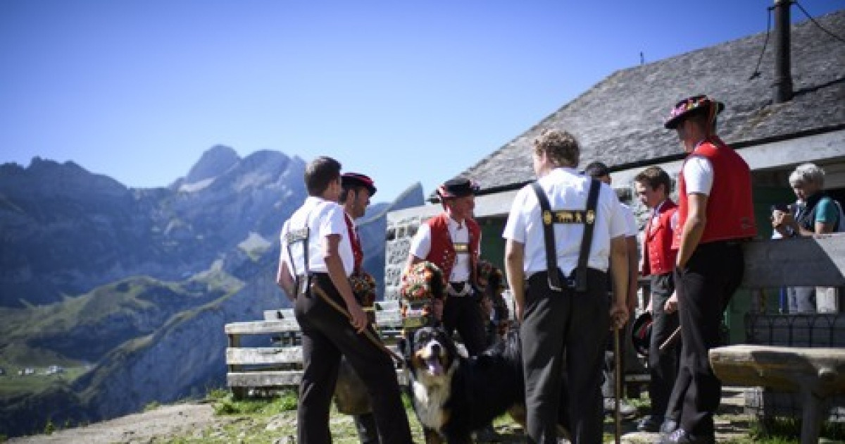 SWITZERLAND CATTLE DESCENT ALTENALP