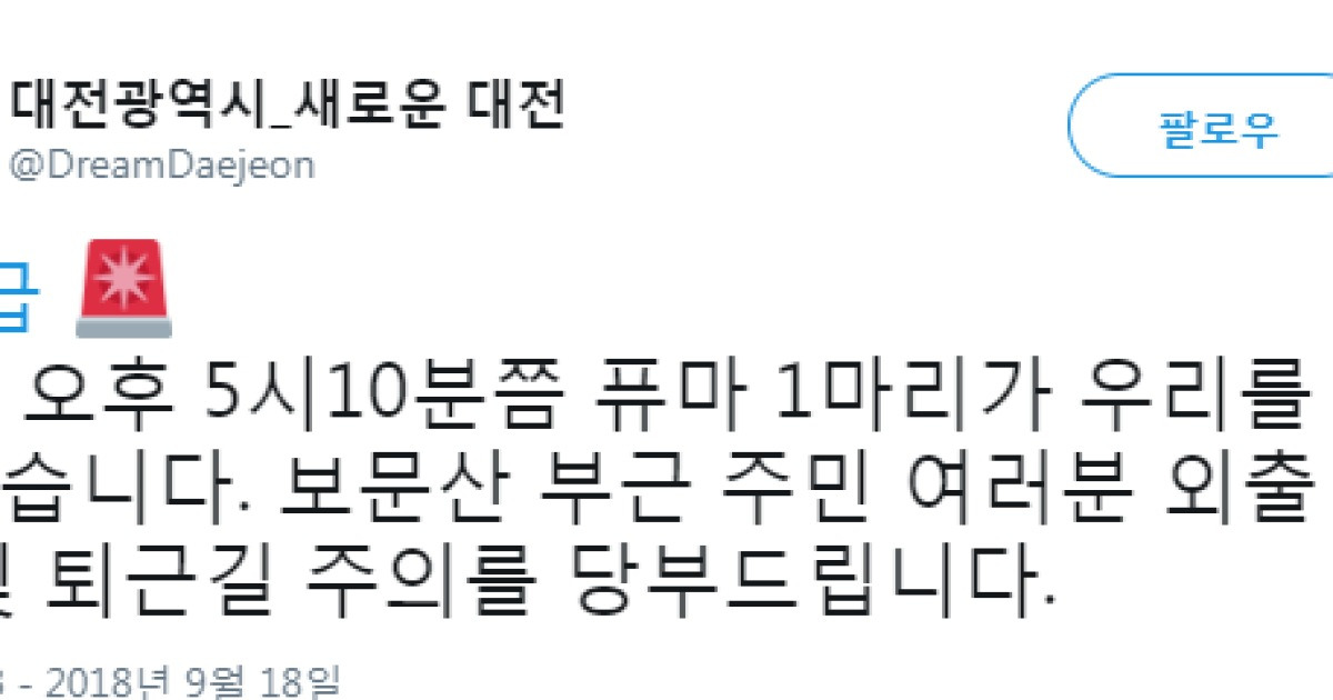 대전 퓨마, 동물원 우리 탈출 '어디로 갔나'