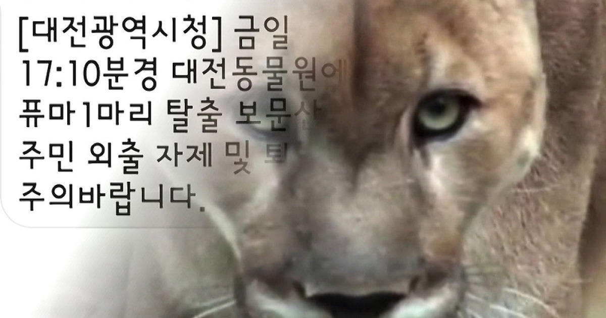 동물원 탈출 퓨마 '뽀롱이'는 왜 죽어야 했나