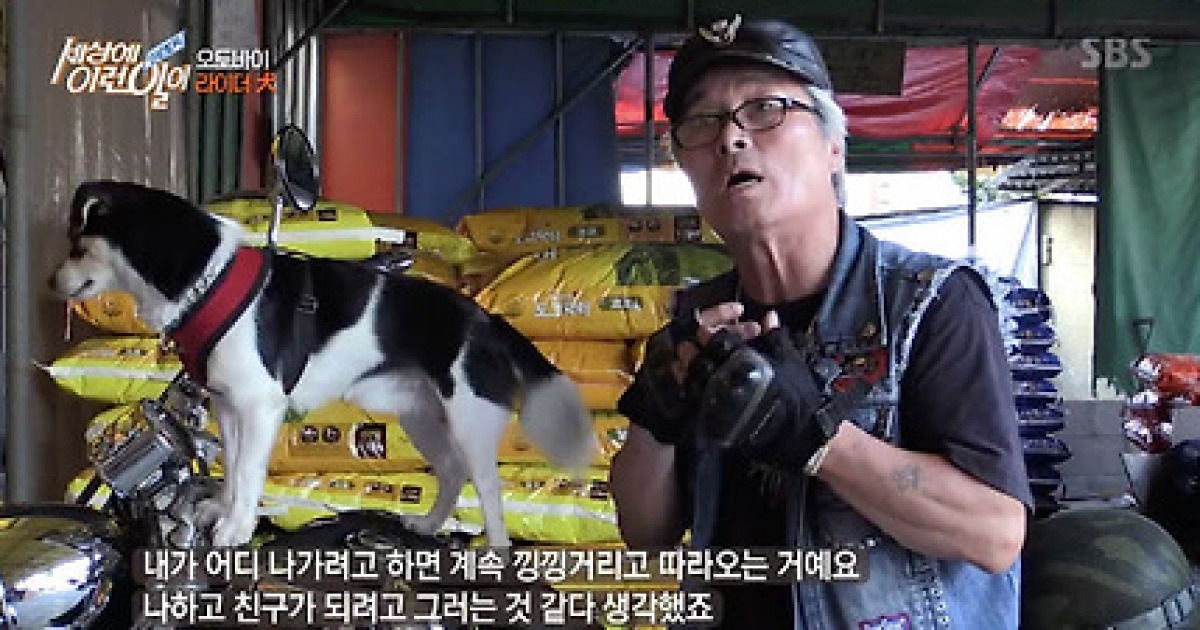 '순간포착 세상에 이런 일이' 라이더 견 몽이가 오토바이를 타게 된 까닭은?