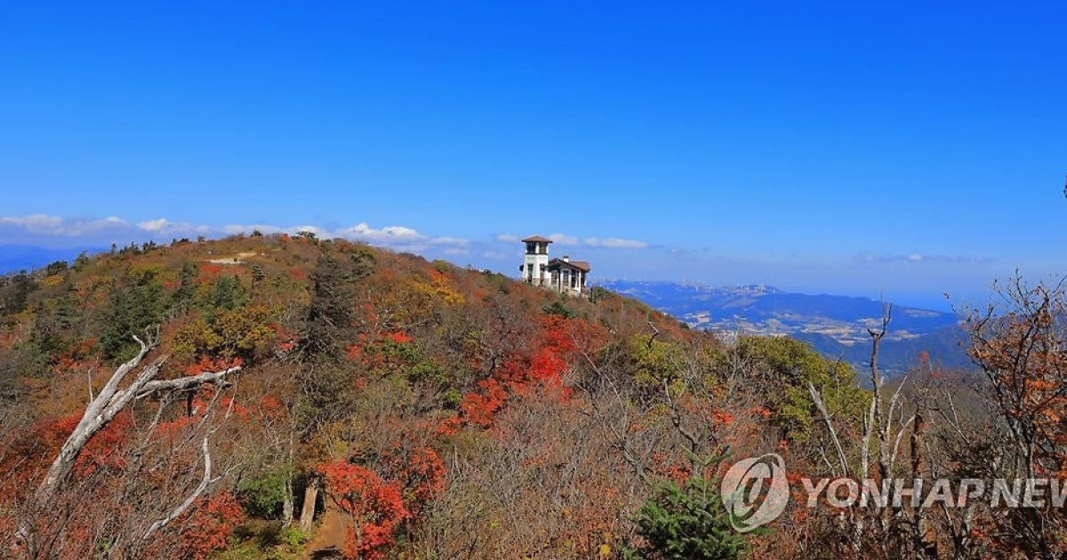 단풍에 물드는 발왕산