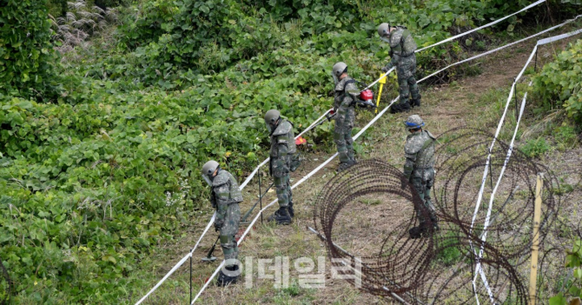 [포토]DMZ, 지뢰 탐지 및 제거