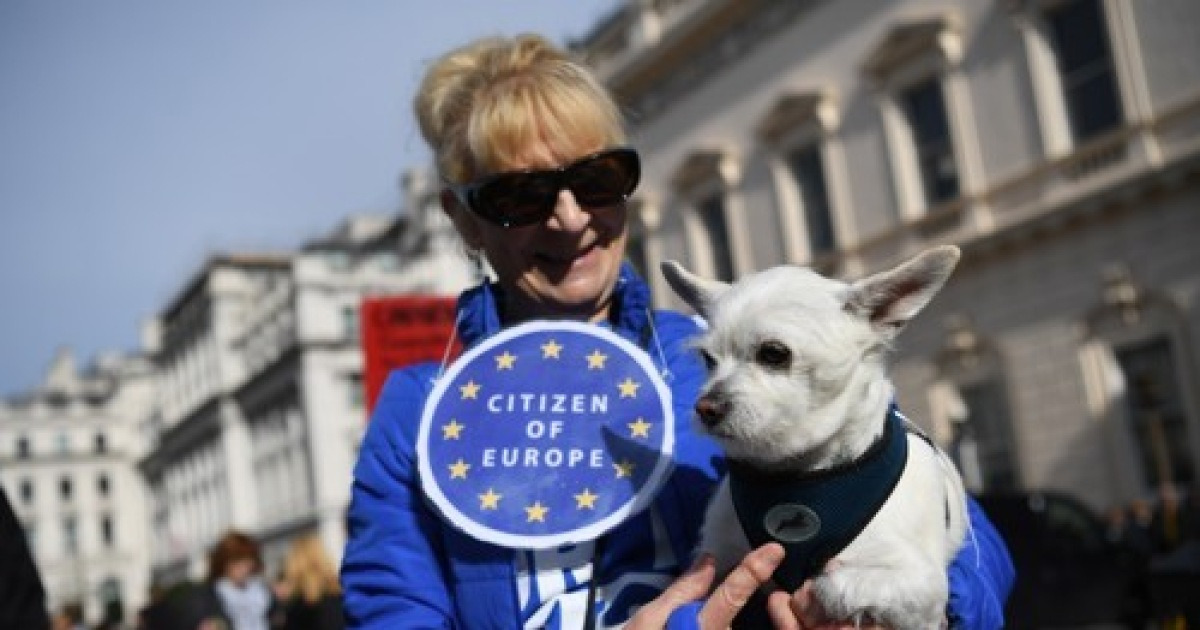 BRITAIN BREXIT WOOFERENDUM DOG RALLY