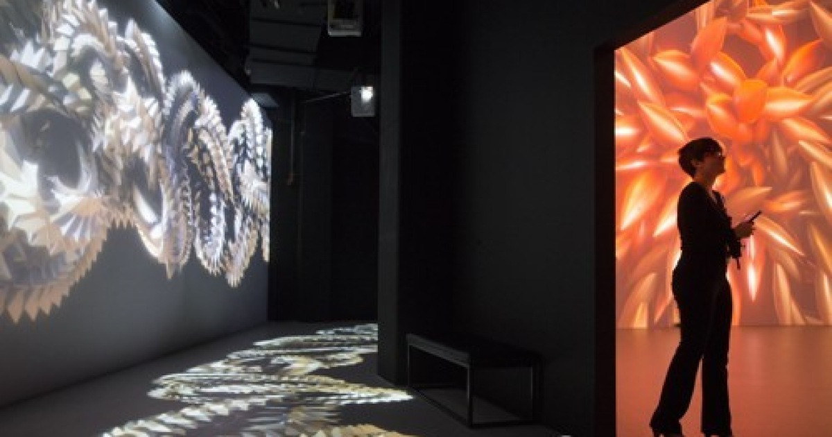 USA INTERACTIVE ART EXHIBITION WASHINGTON