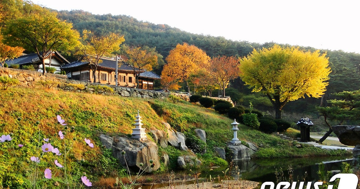 영천 은해사 운부암에 내려 앉은 가을