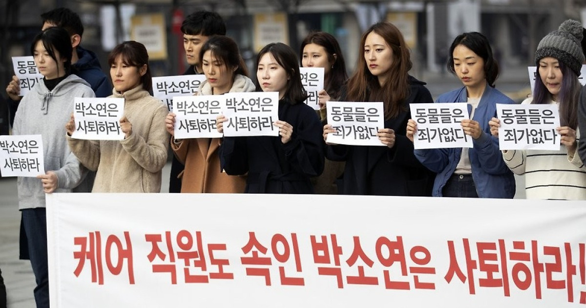 박소연 케어 대표 사퇴 촉구 기자회견