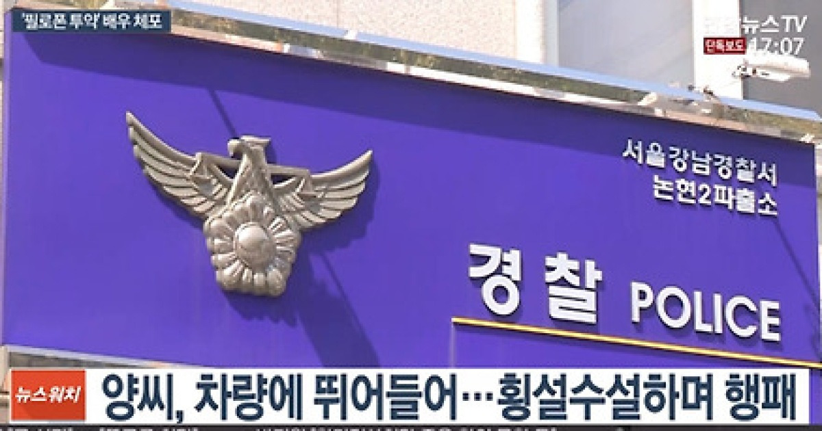 영화배우 양 씨, 필로폰 투약 혐의로 체포..횡설수설+이상 행동