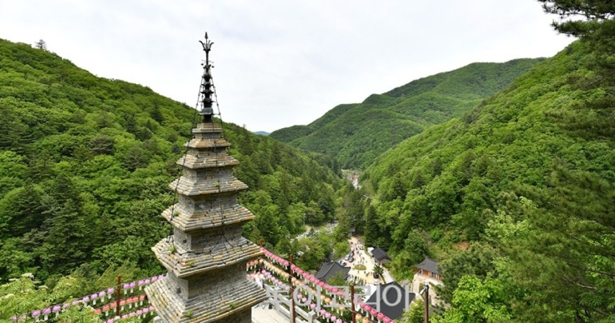정선군, '정암사 자장율사 순례길' 완공..6월 8일 걷기행사 개최