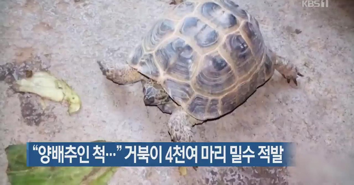 [지금 세계는] 