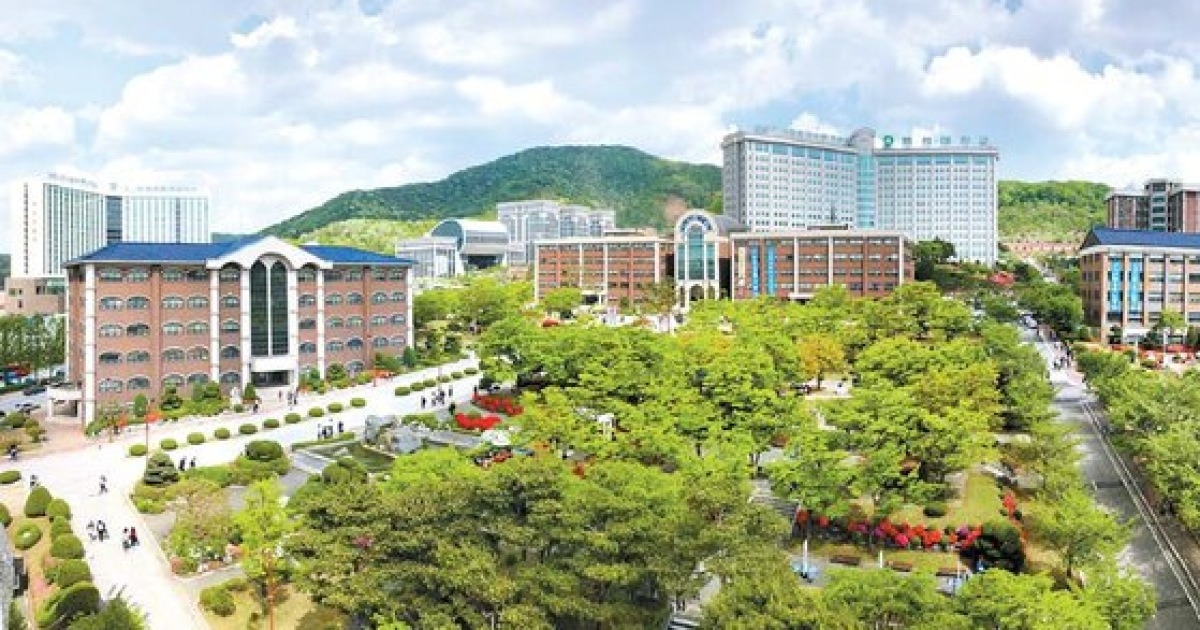 교육부, 백석대·백석문화대·백석예술대 한꺼번에 감사 실시