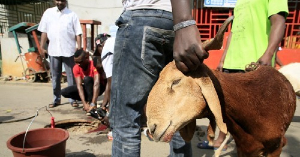 IVORY COAST EID AL ADHA ISLAM BELIEF