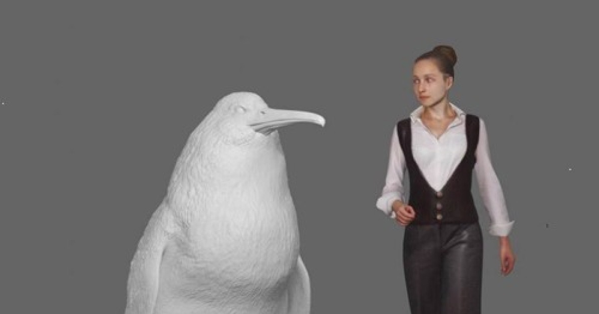 New zealand giant pengiun