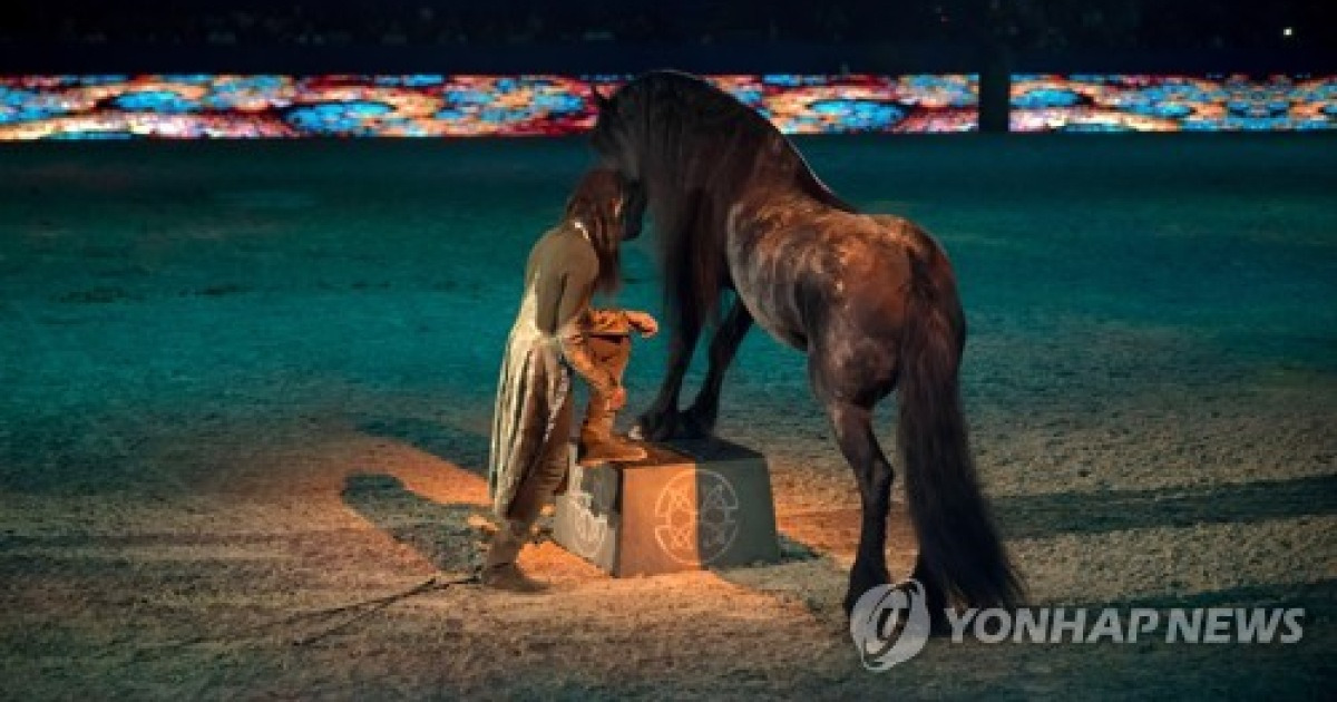 MOROCCO ENTERTAINMENT HORSES