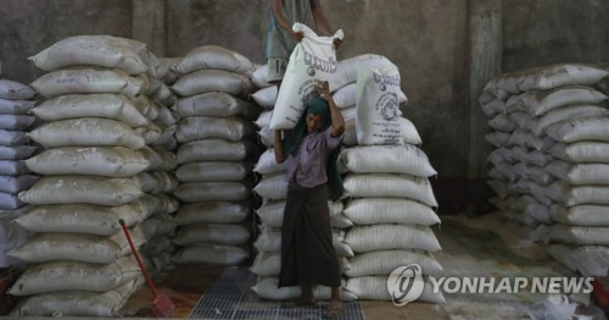 MYANMAR AGRICULTURE RICE PRODUCTION