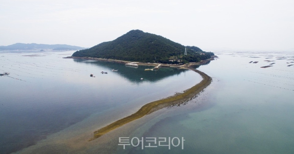 썰물 때면 사슴같이 생긴 섬 '완도 노록도'