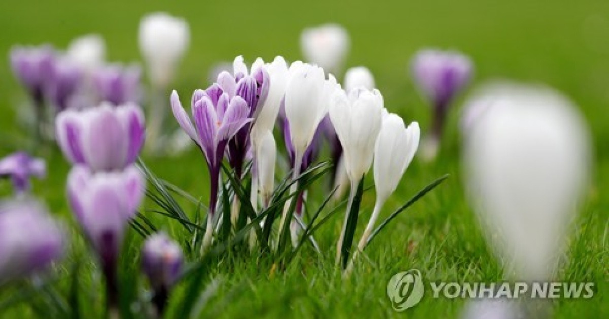 GERMANY WEATHER KARLSRUHE