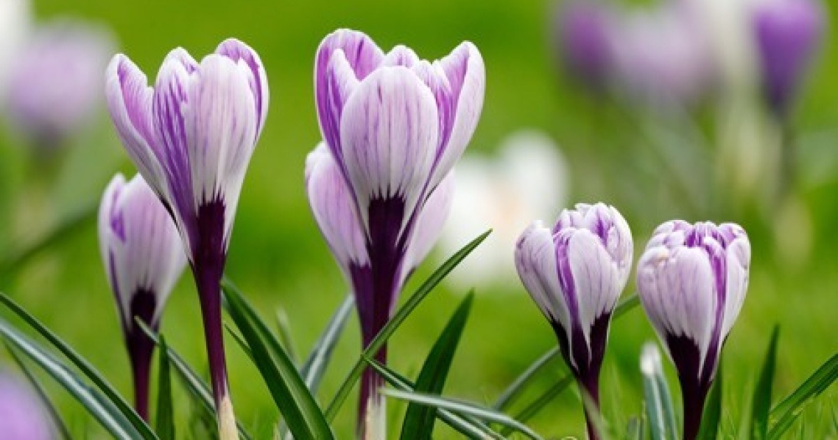 GERMANY WEATHER KARLSRUHE