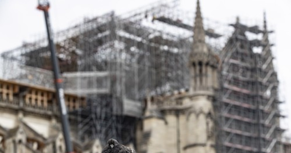 FRANCE PARIS NOTRE DAME CONSTRUCTION