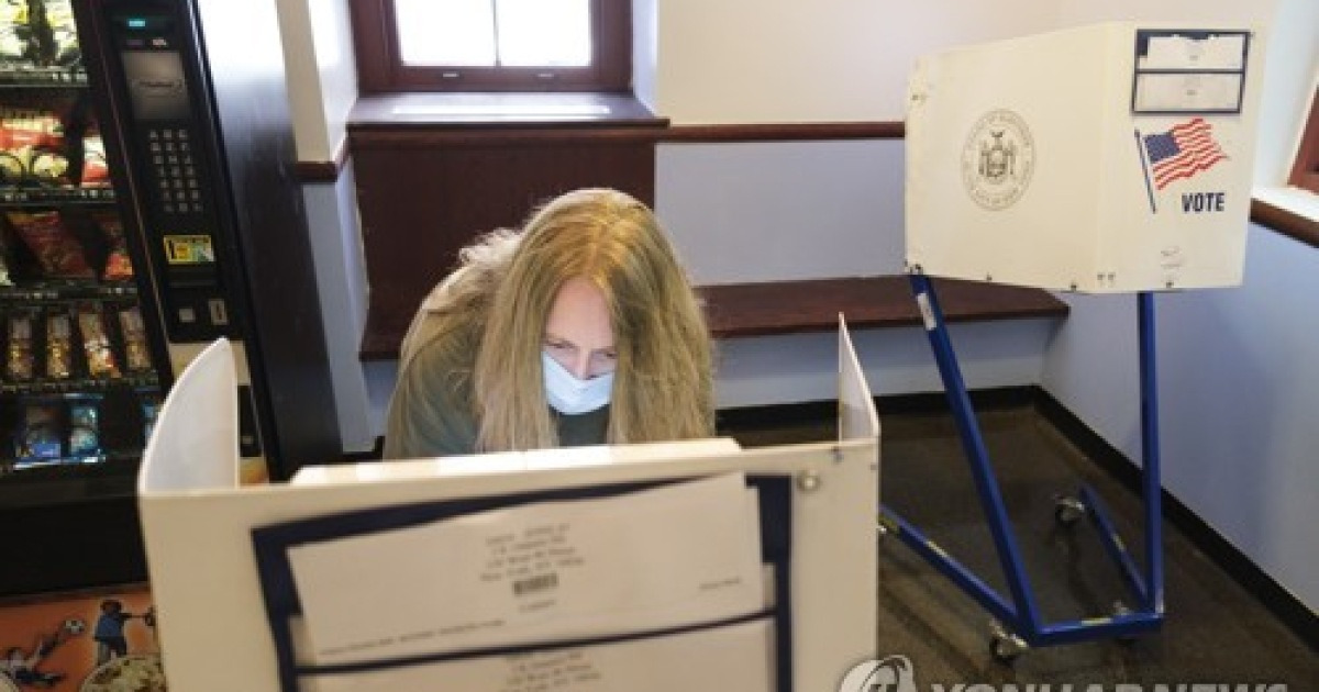 Usa New York Primary Voting