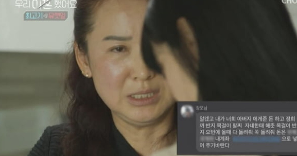 최고기·유깻잎 이혼사유..