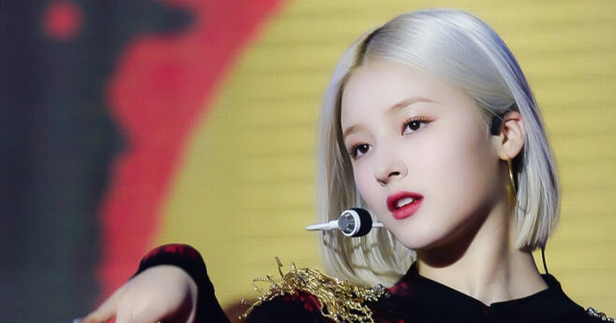 모모랜드 측 