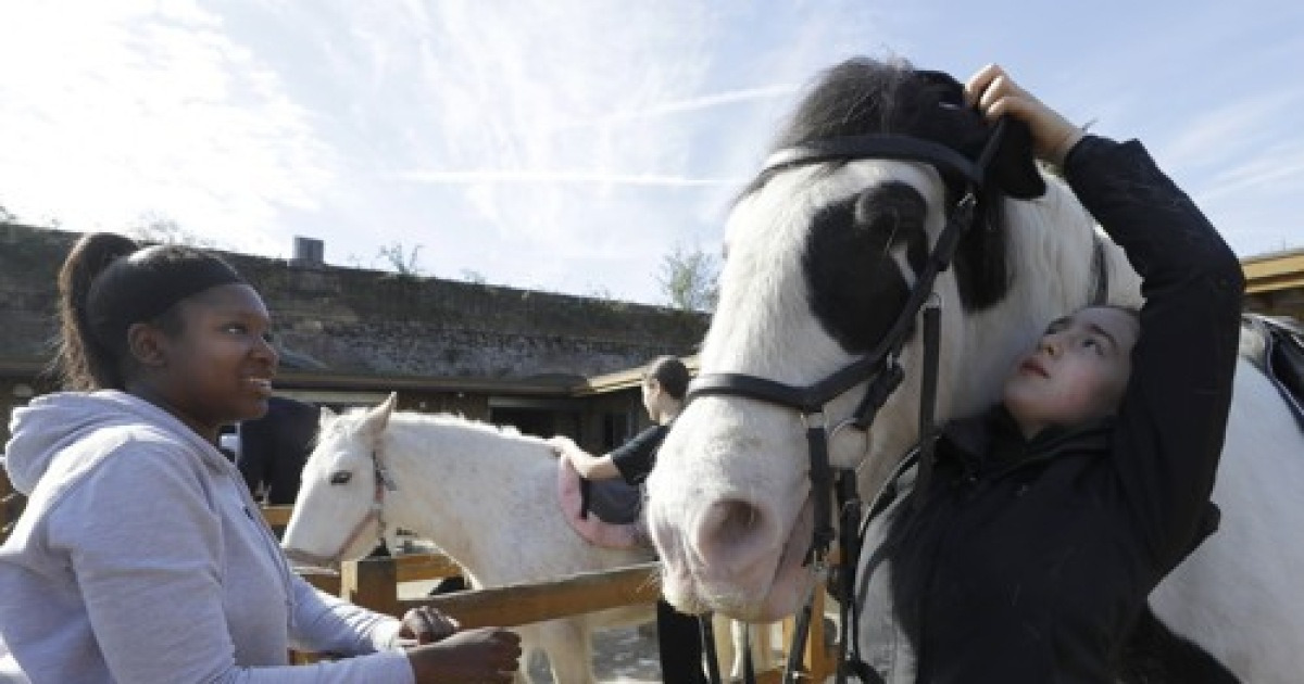 Britain London Riding School Photo Gallery