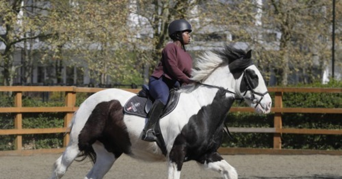 Britain London Riding School Photo Gallery