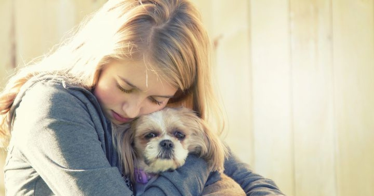 펫로스(Pet Loss)증후군을 아시나요? 에이비펫