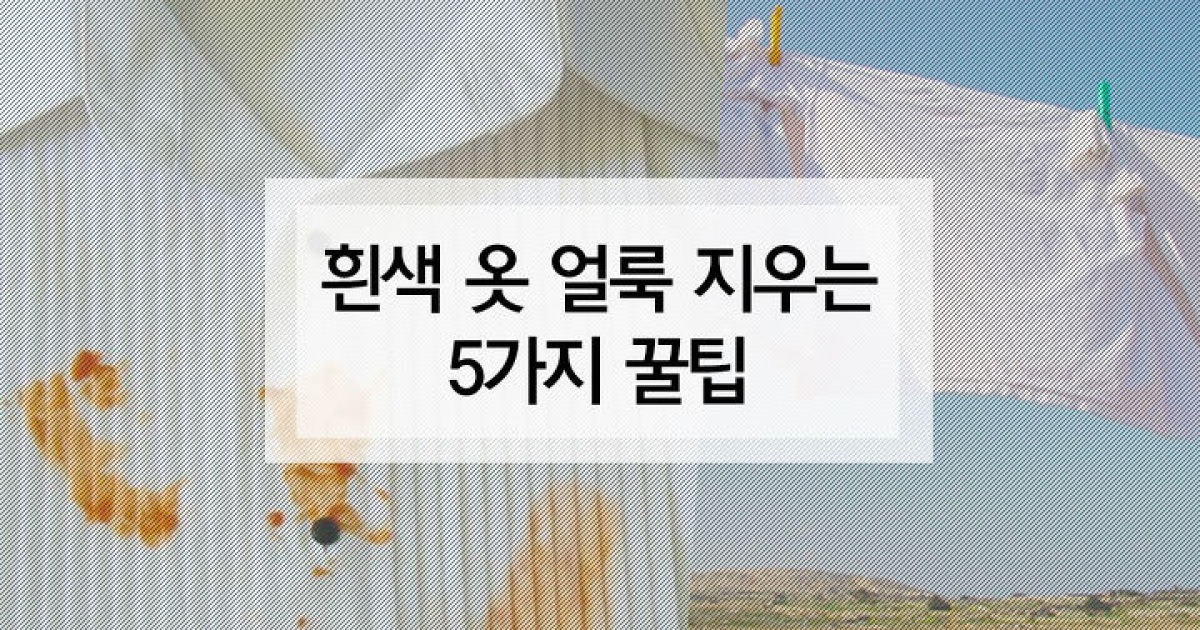 초간단! 흰옷 얼룩 지우는 5가지 꿀팁✭ 살림 못 해도 가능해 | 써프라이즈