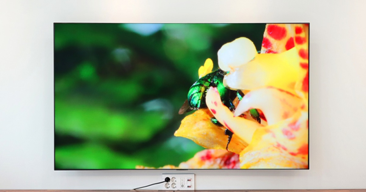 TV의 종류 OLED vs QLED 뭐가 다를까? 노써치