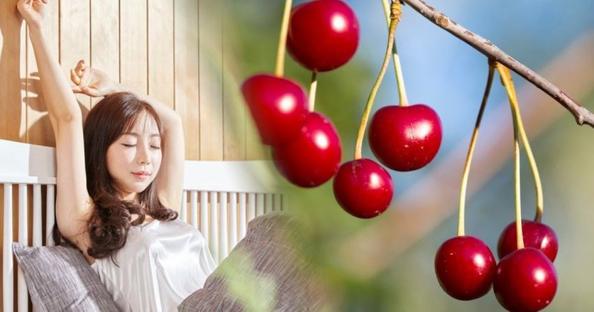 타트체리효능으로 숙면 챙기고 덤으로