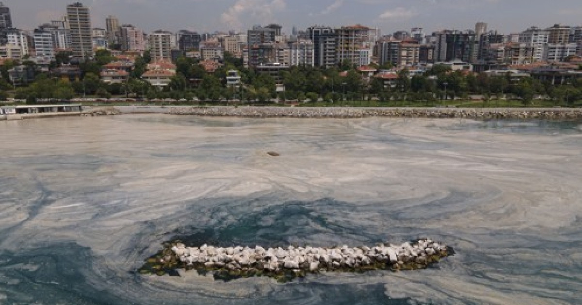 Turkey Environment