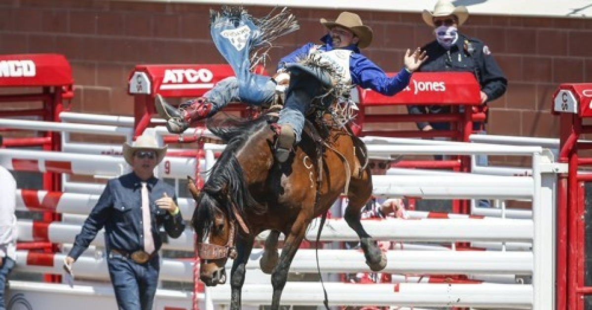 Calgary Stampede Rodeo