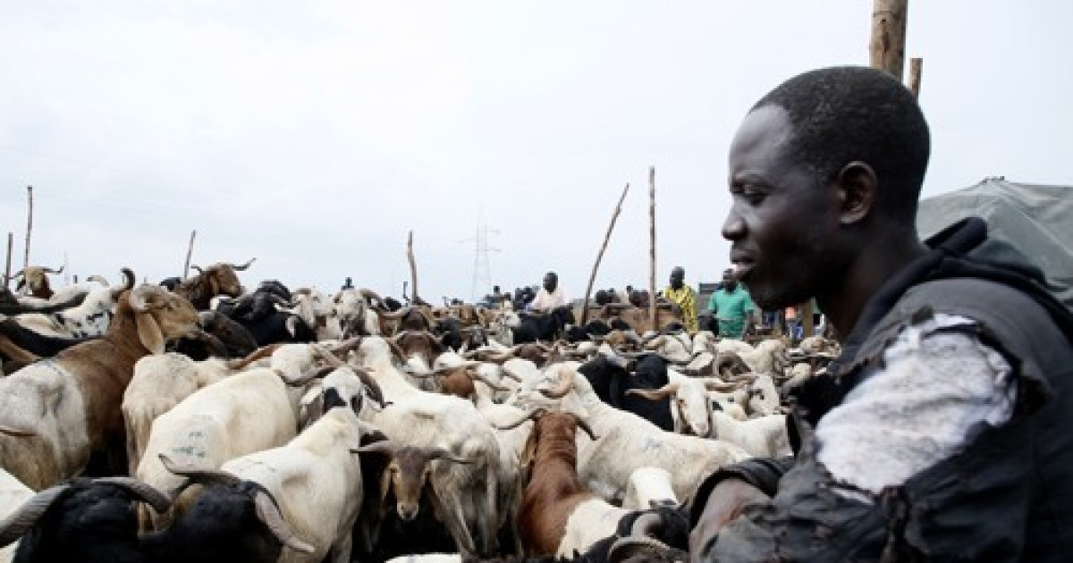 IVORY COAST EID AL ADHA ISLAM BELIEF