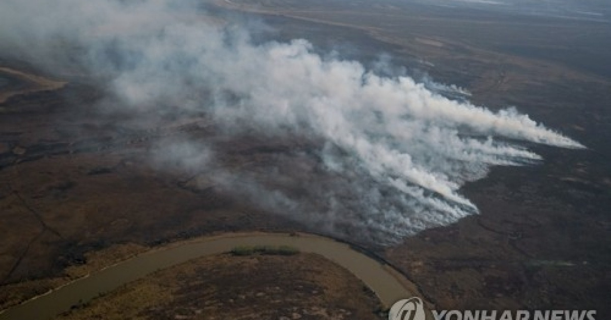 Argentina Fires