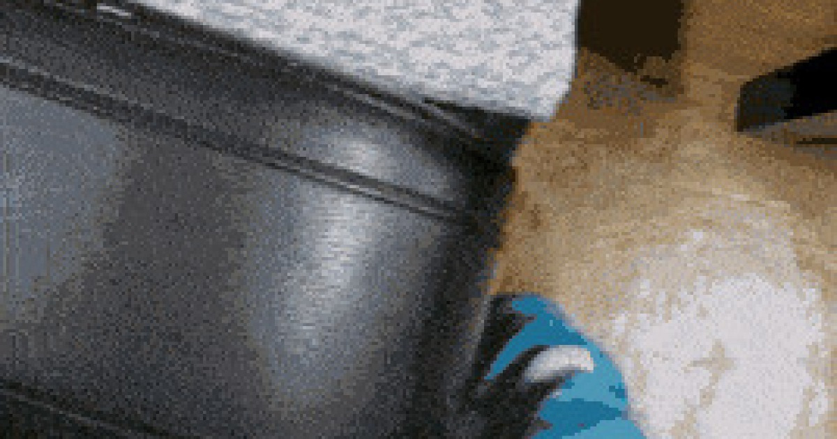 강아지 안 키우는 사람은 화난 줄 안다는 짤.Gif | 커뮤니티