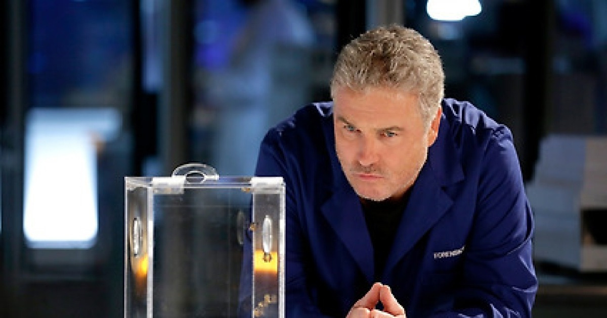 'CSI 베가스'·'NCIS 하와이'·'FBI인터내셔널', 10월 LG유플러스 공개