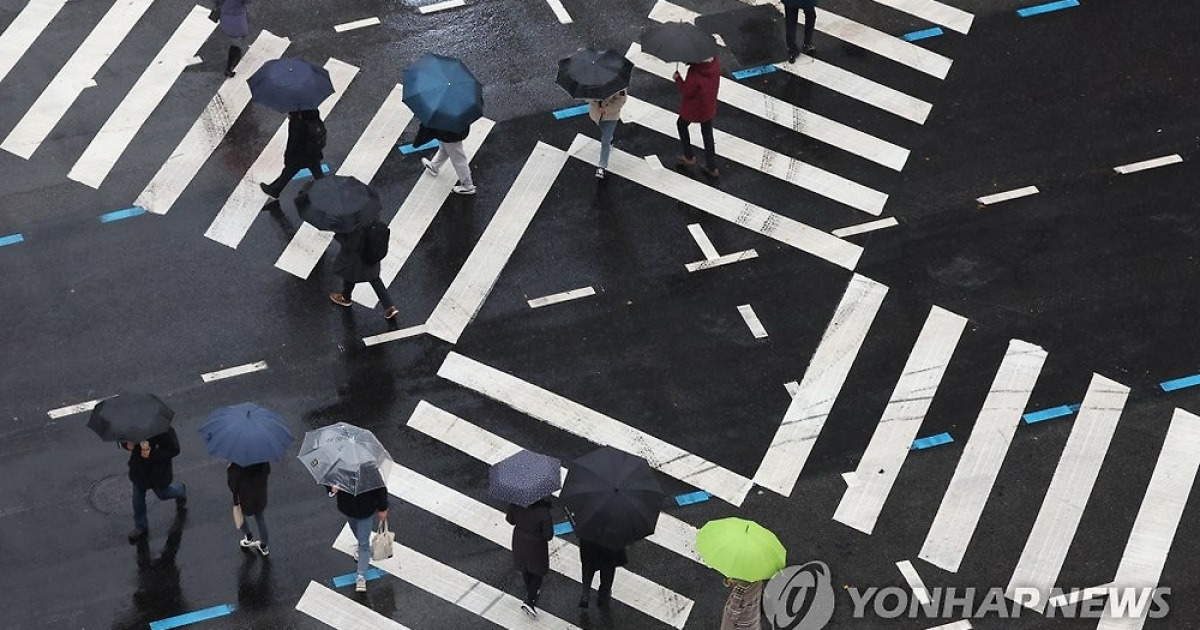 비가 내린 11월의 마지막 날