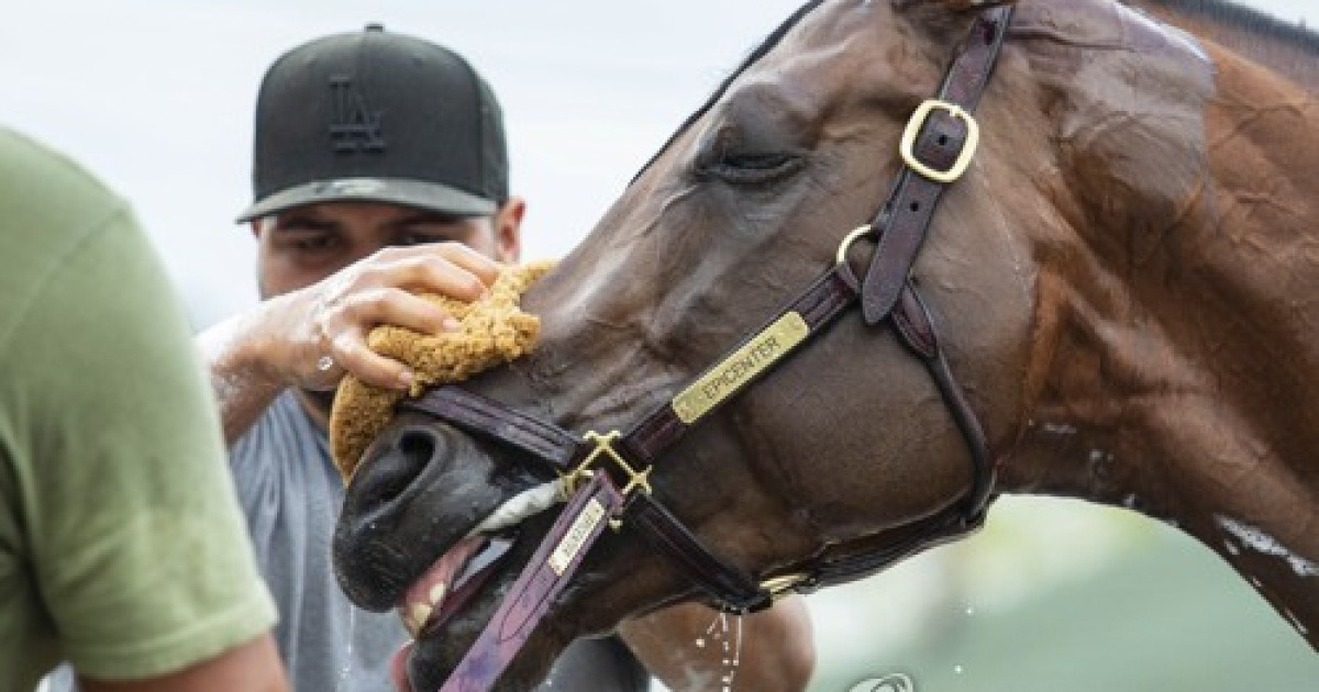 Kentucky Derby Asmussen Moment Horse Racing