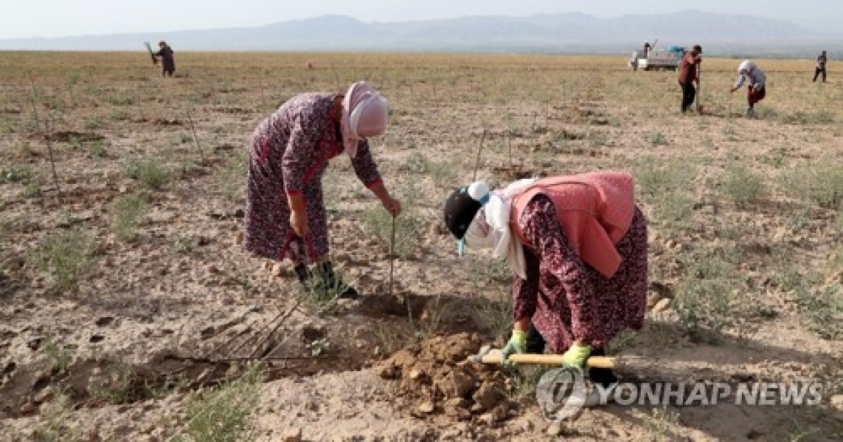 KYRGYZSTAN AGRICULTURE