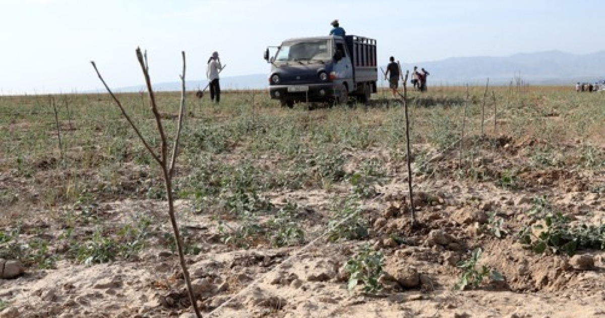 KYRGYZSTAN AGRICULTURE