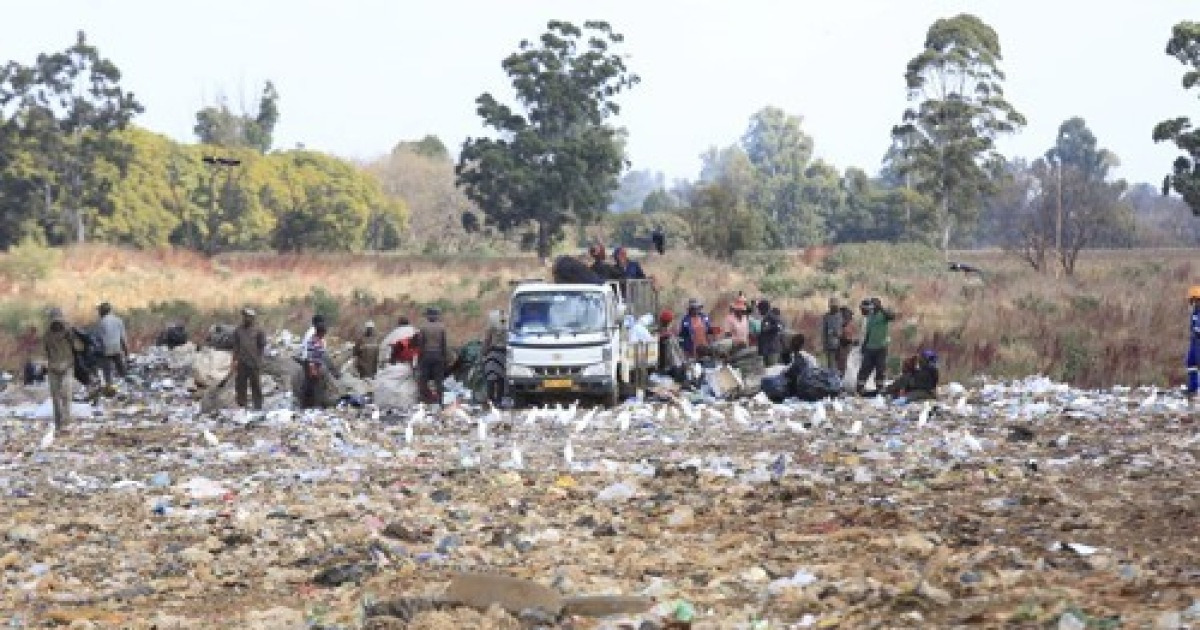 ZIMBABWE ECONOMY GARBAGE PICKING