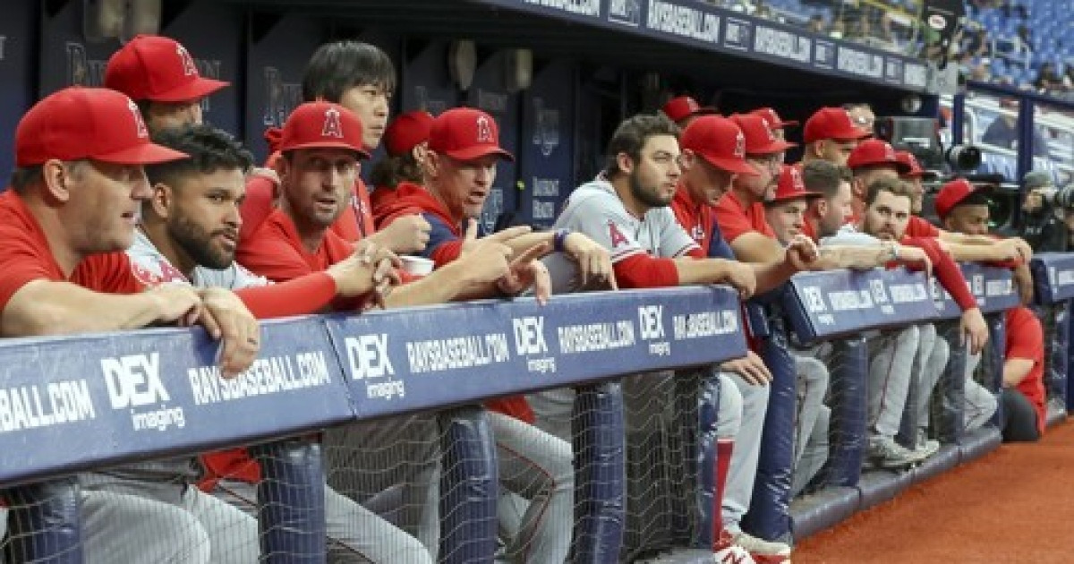 Angels Rays Baseball