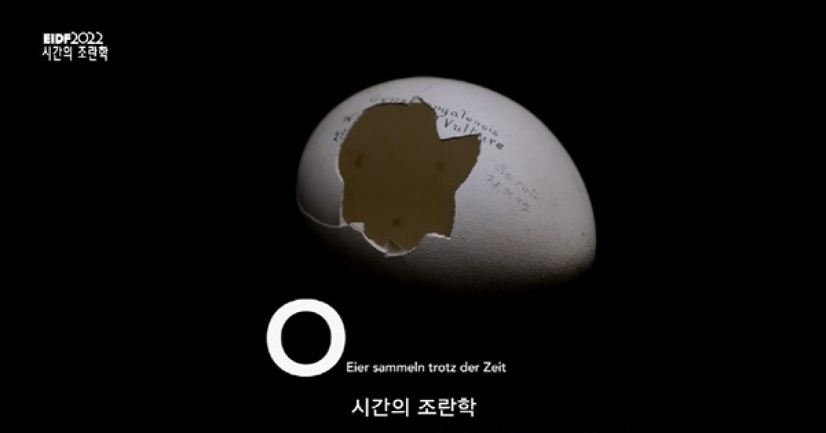 전쟁 중에도 놓을 수 없었던, 새알 향한 열정