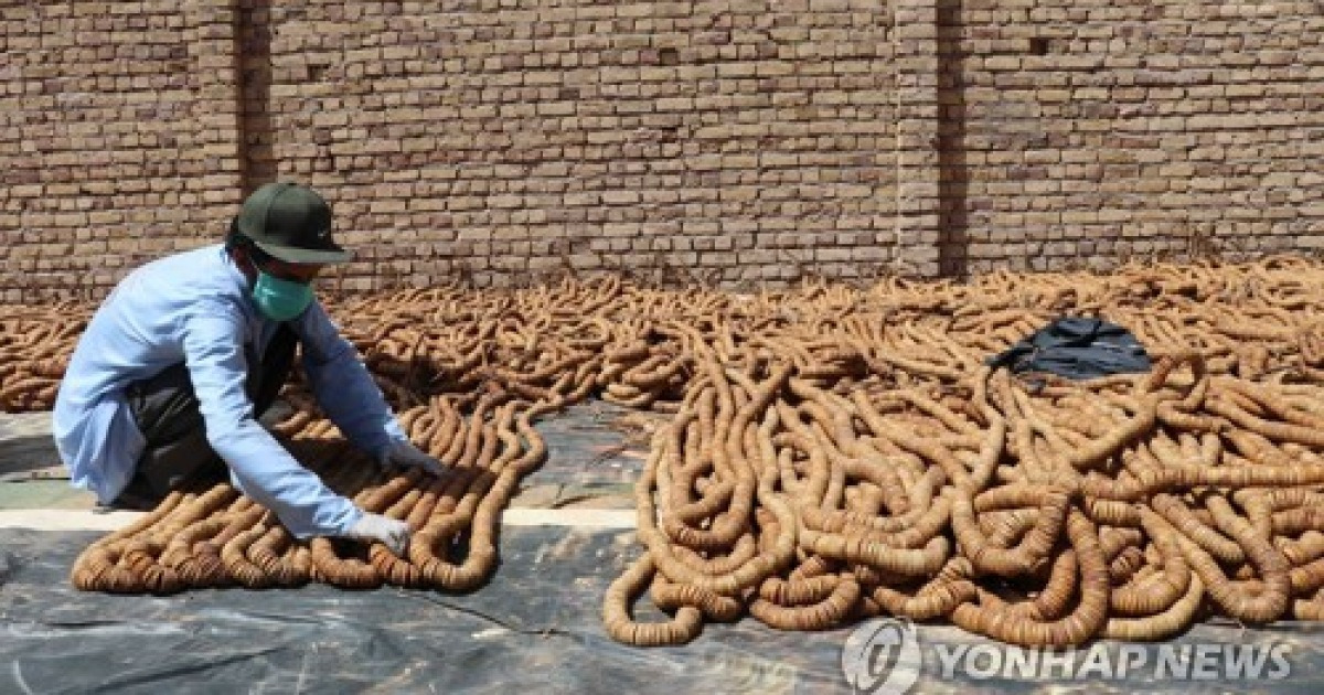 Afghanistan Dry Fruits Export