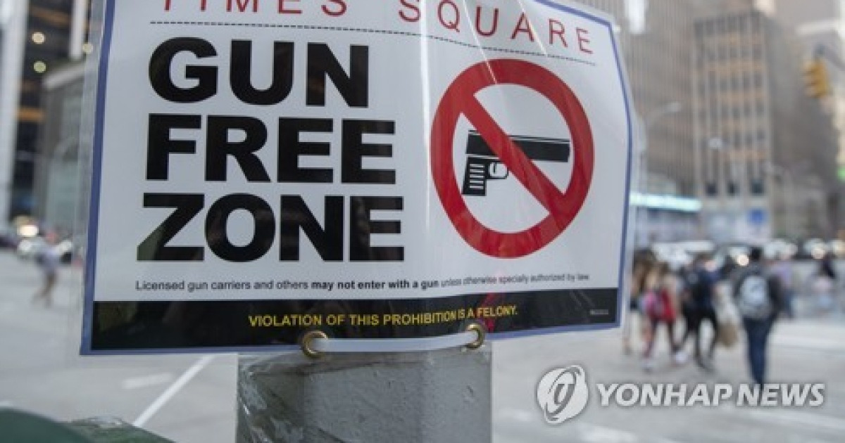 USA NEW YORK GUN LAW