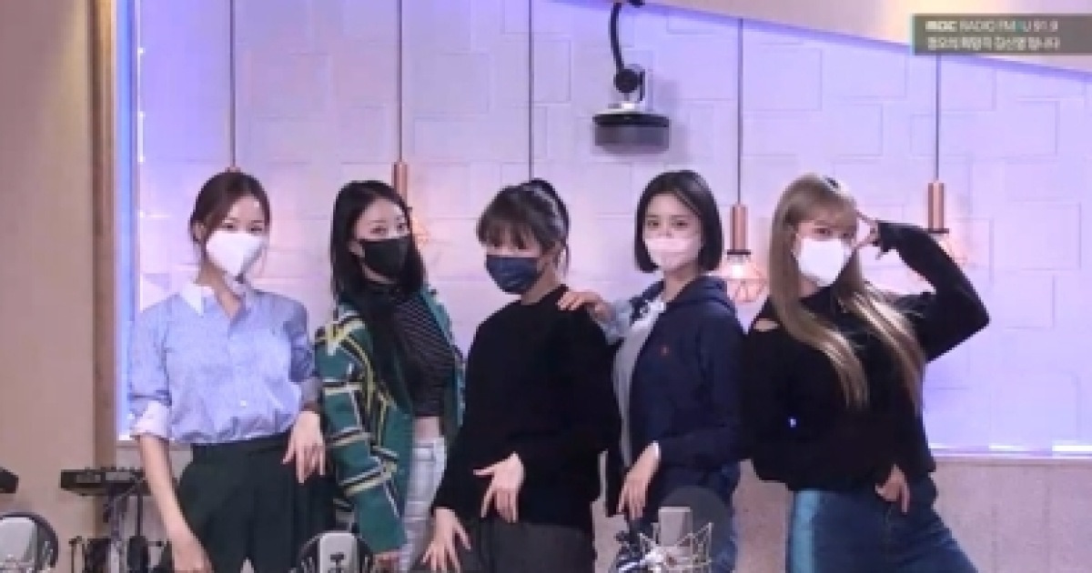 하니 