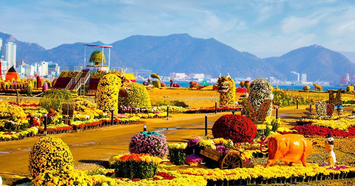 travel-bits-festivals-sights-across-korea