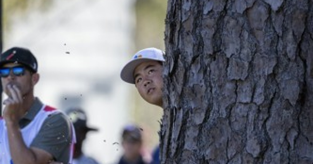 CJ Cup Golf