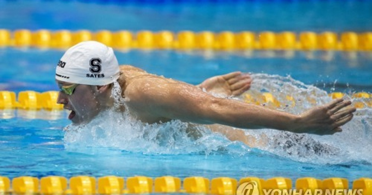 Germany Diving World Cup